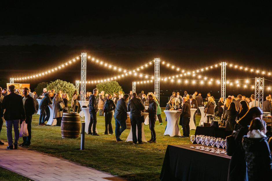 dunav wine festival | Author: Narrative Studio