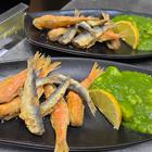 Bota Šare Dubrovnik