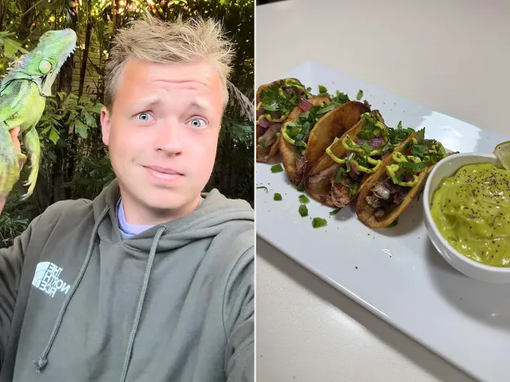 gray davis, tacosi od iguane