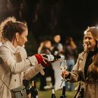 dunav wine festival