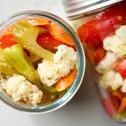 giardiniera