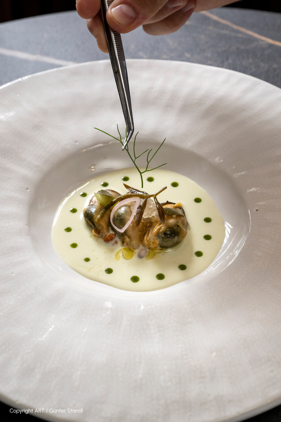 kvarner na tanjuru, deni srdoč marni pleše, vila rova | Author: Press