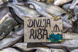 Pula: Ponuda ribe na pulskoj ribarnici
