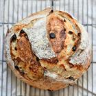 sourdough, domaći kruh