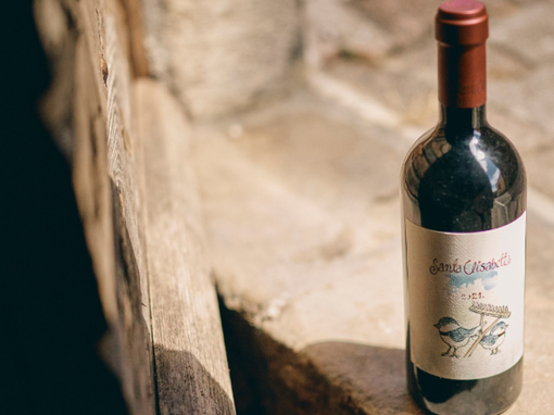 benvenuti santa elisabetta 2021.