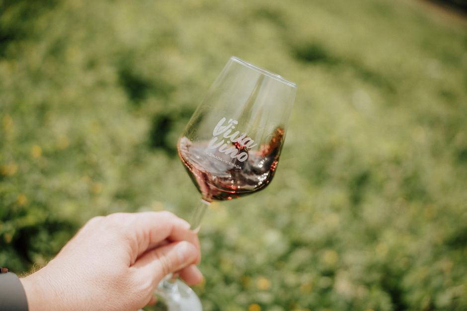viva vino vižinada, wine&walk | Author: Arhiva TZ Vižinada