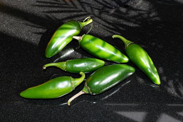 jalapeno