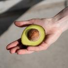 avokado