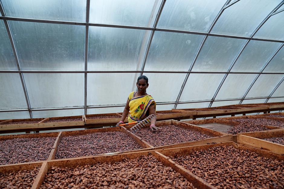 Dodijeljene nagrade Cacao of Excellence | Author: Press