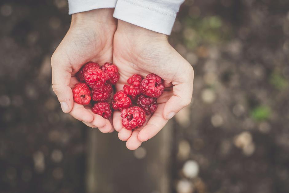 maline | Author: Annie Spratt/Unsplash
