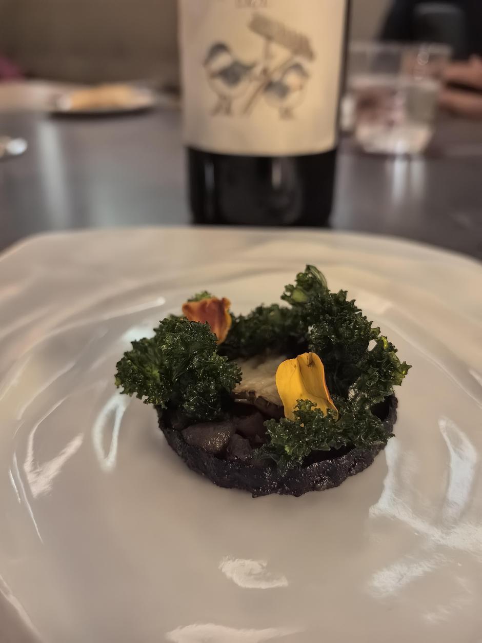 benvenuti, noel, santa elisabetta | Author: Emina Basara