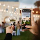 dunav wine festival
