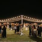 dunav wine festival 2025.