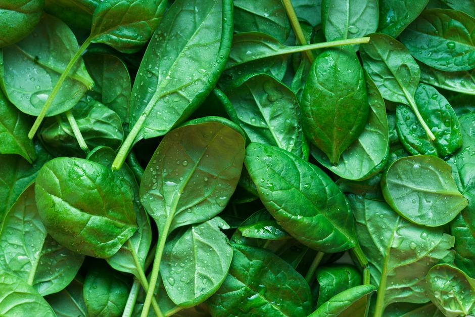 mladi špinat | Author: Patrycja Jadach/Unsplash