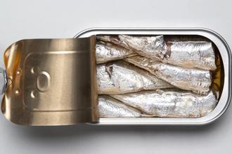 Jesu li sardine zdrave
