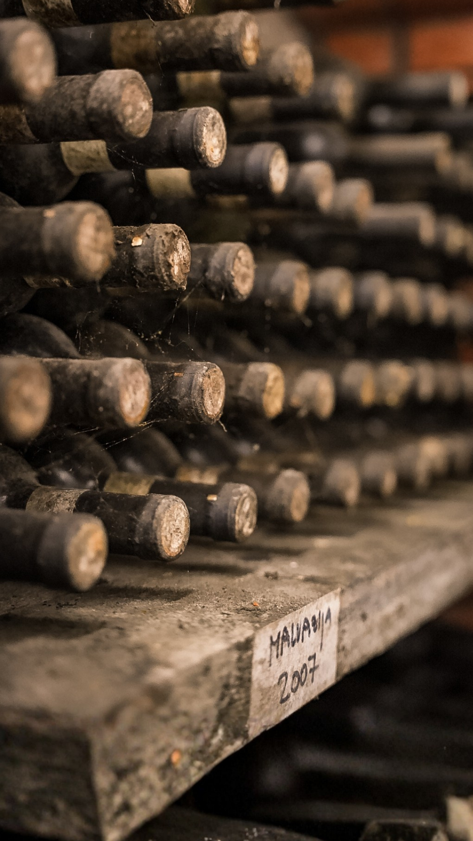 cattunar, malvazija day | Author: Press