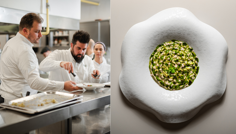 harry's piccolo u spinnakeru