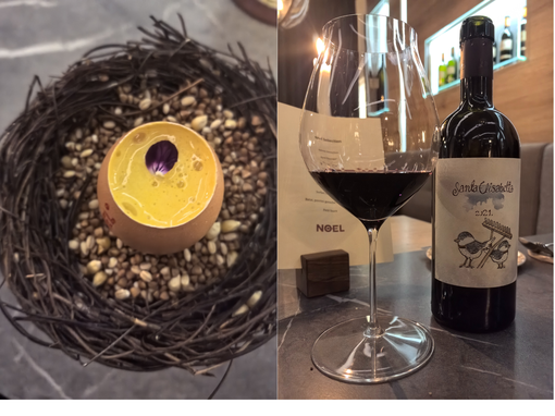 santa elisabetta, noel, benvenuti