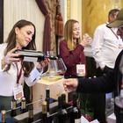 dalmatinske vinske ikone 2025.