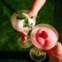 wine summer 2026.