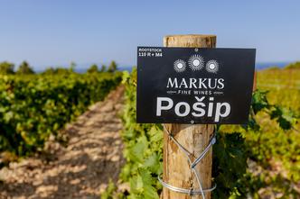 Markus Wines