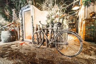 zimska bajka u Botanistu