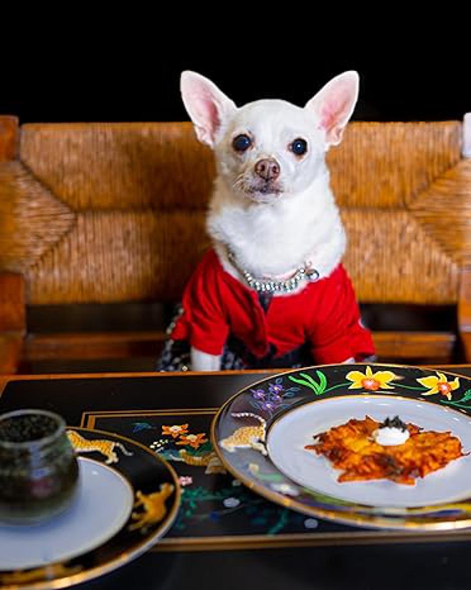 "The Art Of Canine Cuisine" | Author: Amazon.com