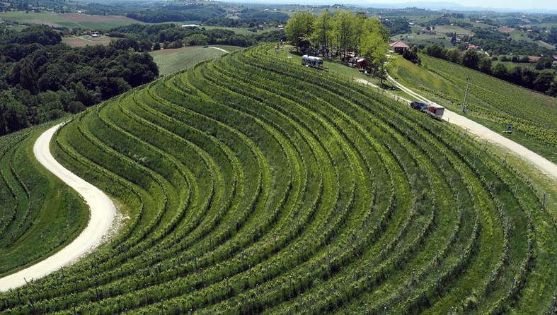 Međimurje Wine&Walk
